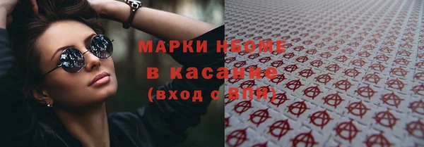 шишки Белоозёрский