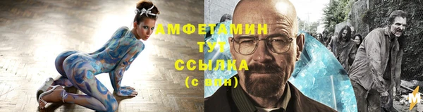 шишки Белоозёрский