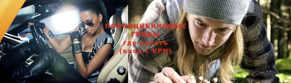 альфа пвп Белокуриха