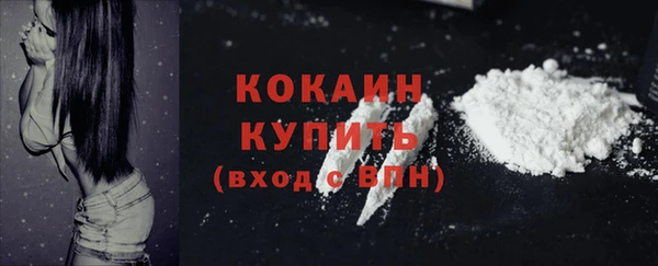 шишки Белоозёрский