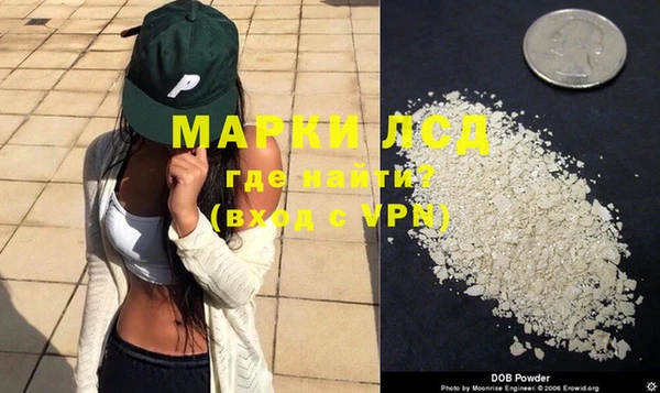 шишки Белоозёрский