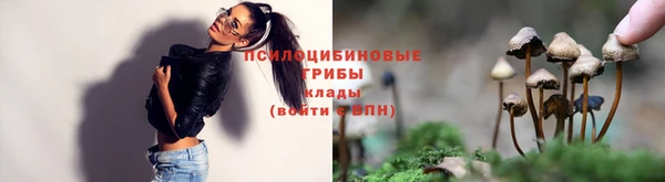 шишки Белоозёрский