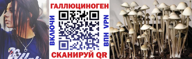 Галлюциногенные грибы ЛСД  Гаврилов-Ям 